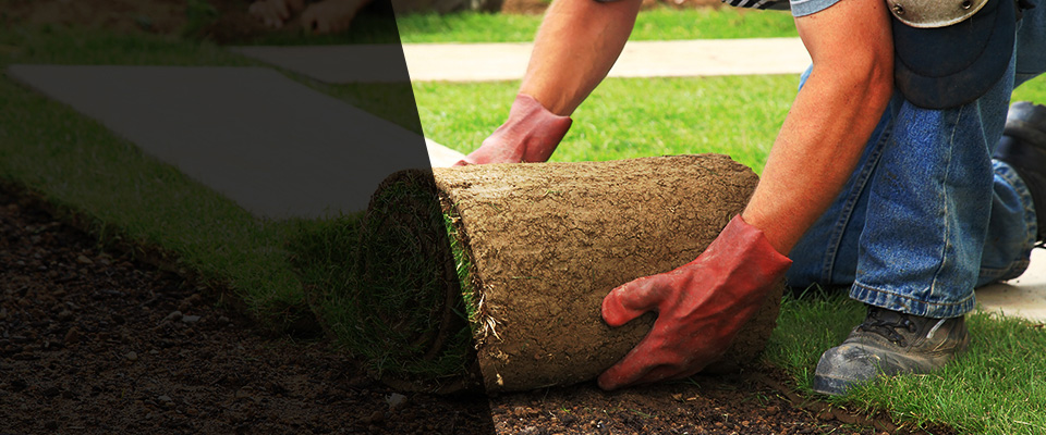 Sodus Landscapers